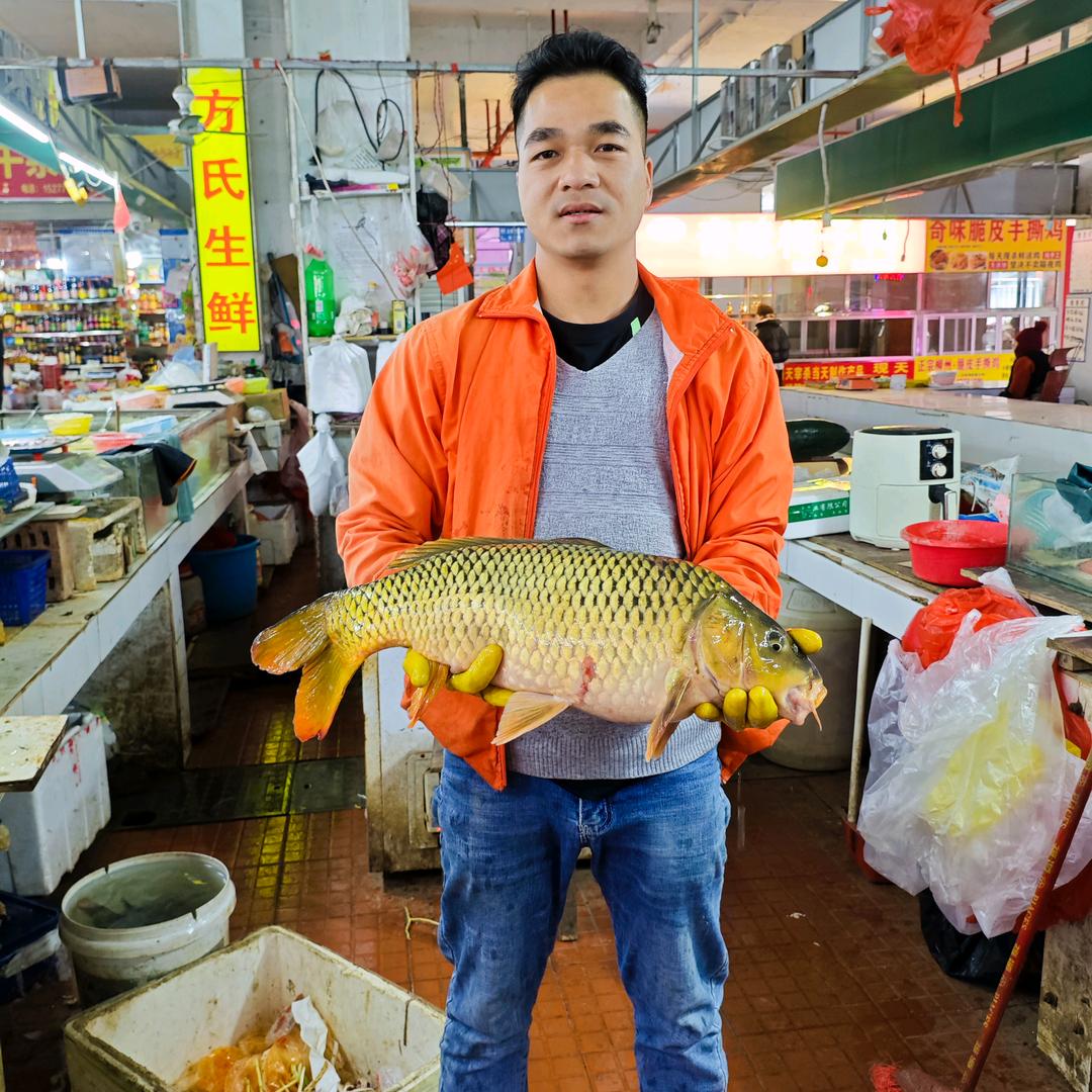 江南唐伯虎