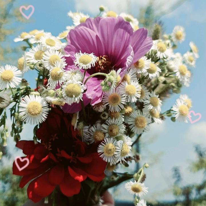 姐的高傲百度里搜不到