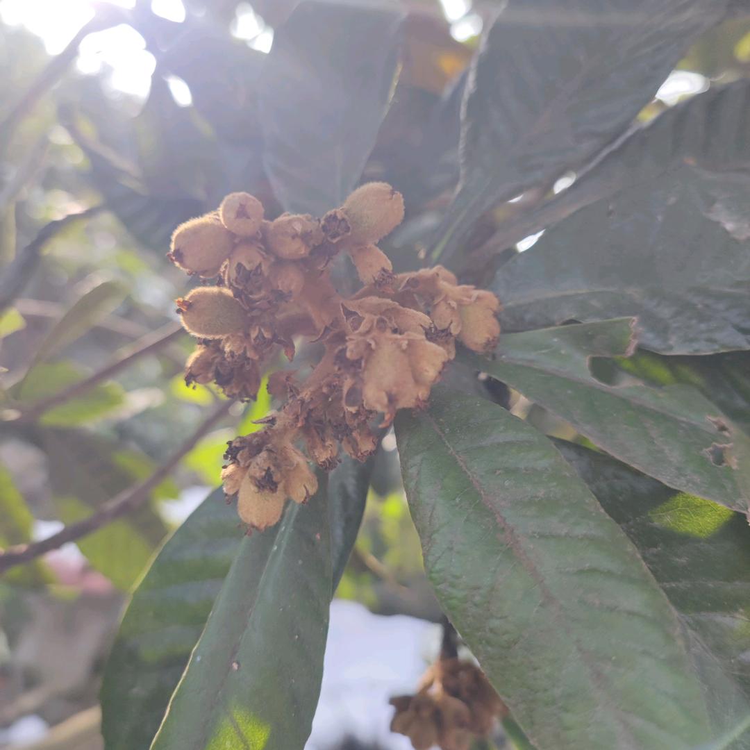 存在的意义