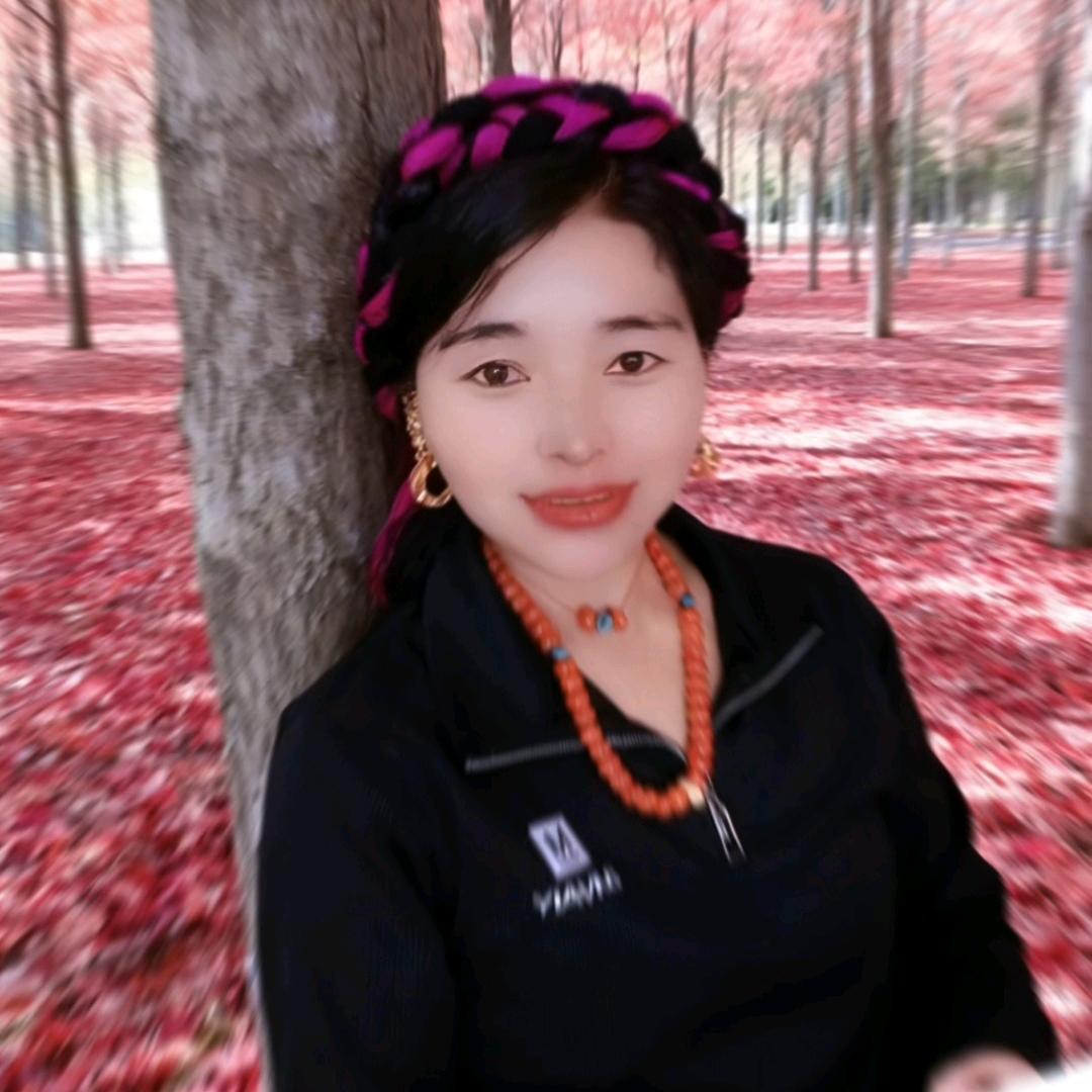 草原上的姑娘ཙ་ཐང🌹བུ་མོ།