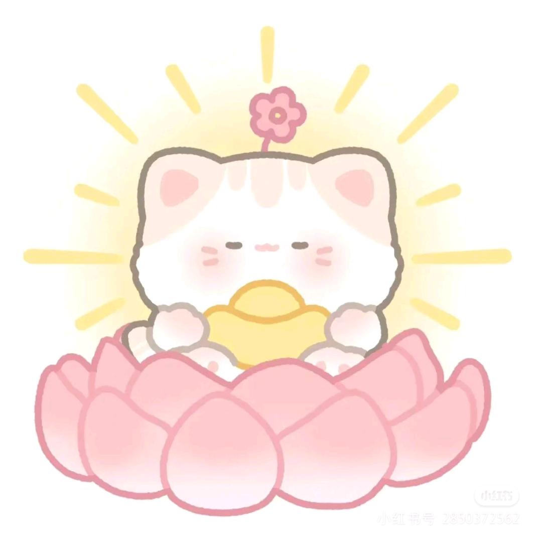 Xx✨