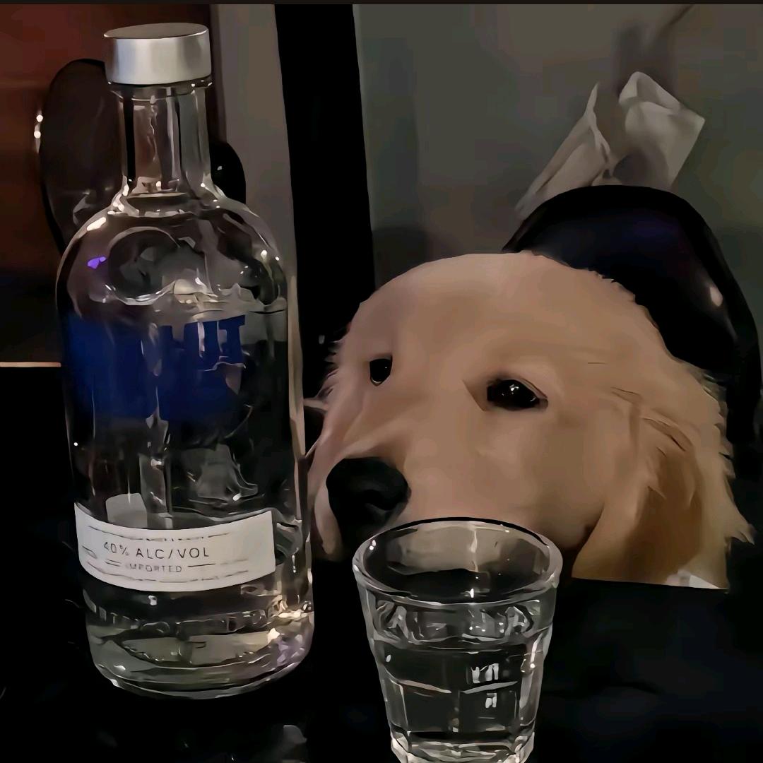 念安ོএ᭄