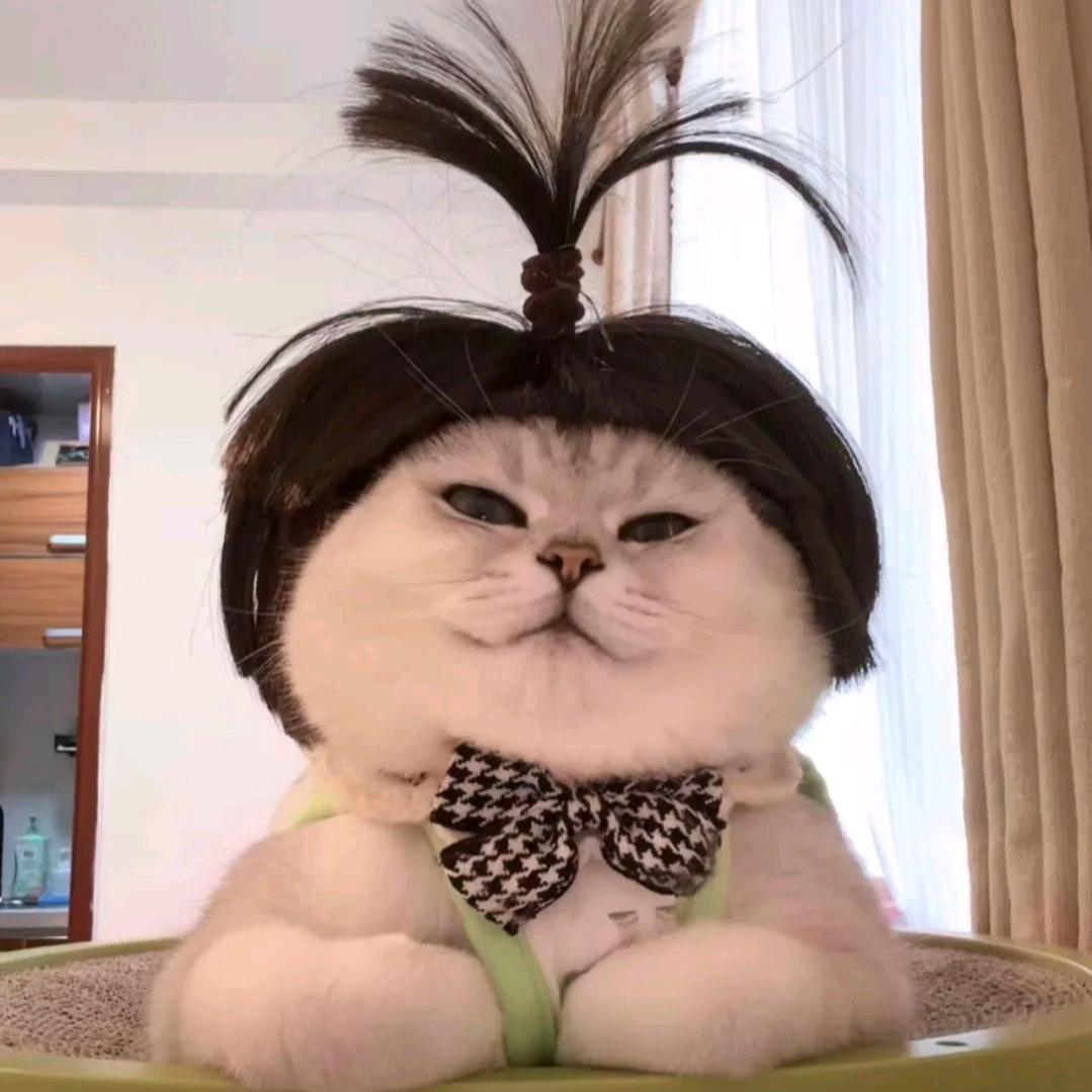 小糊糊