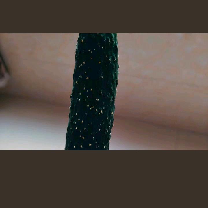 小黄瓜