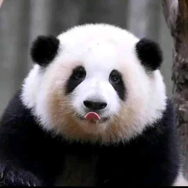 小刘