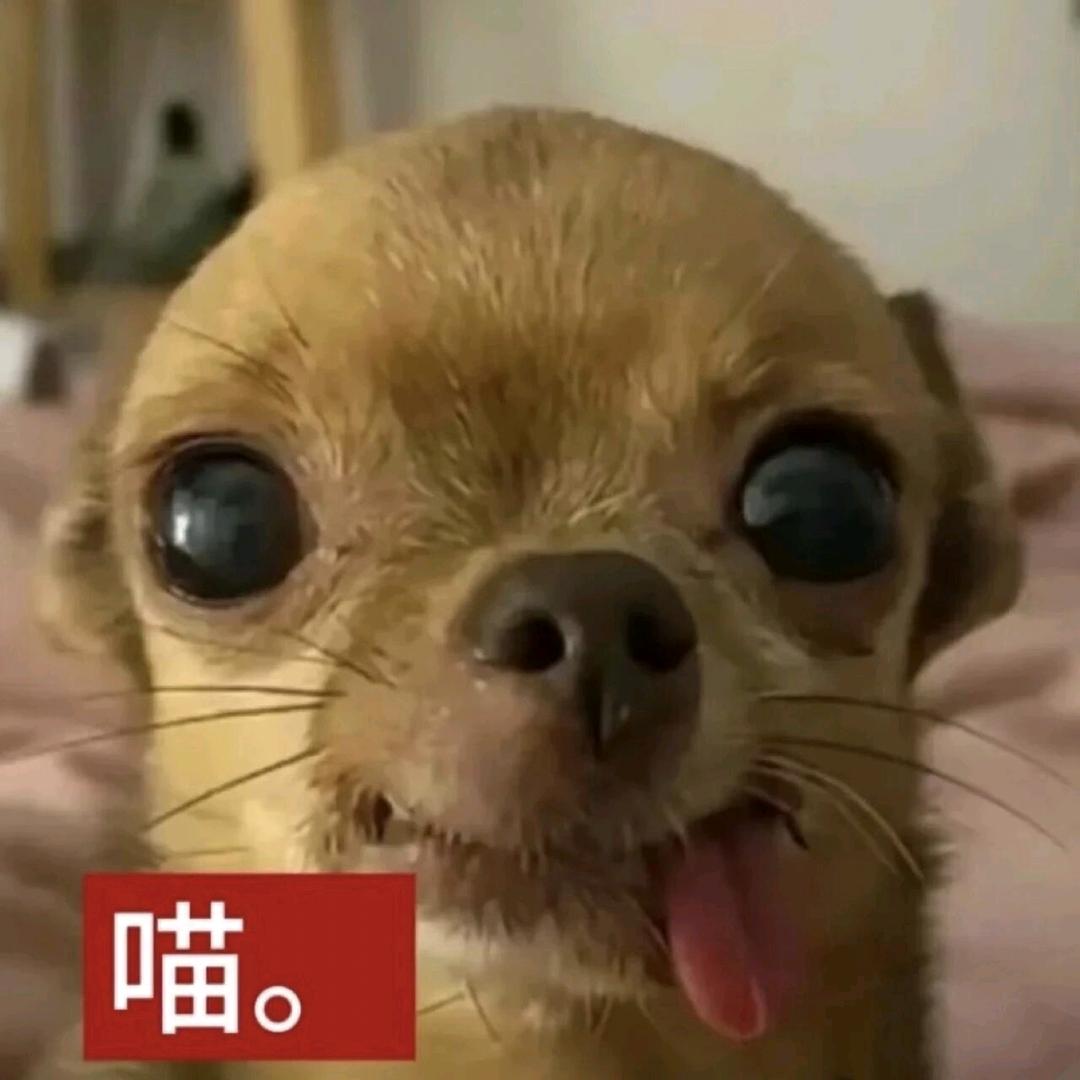 补药肘我