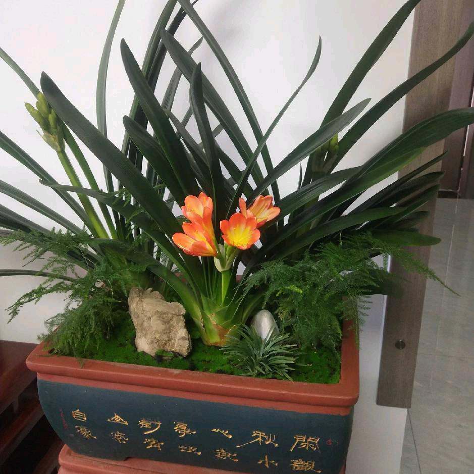 鑫发