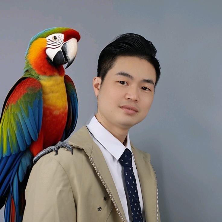 鹦鹉一哥许飞
