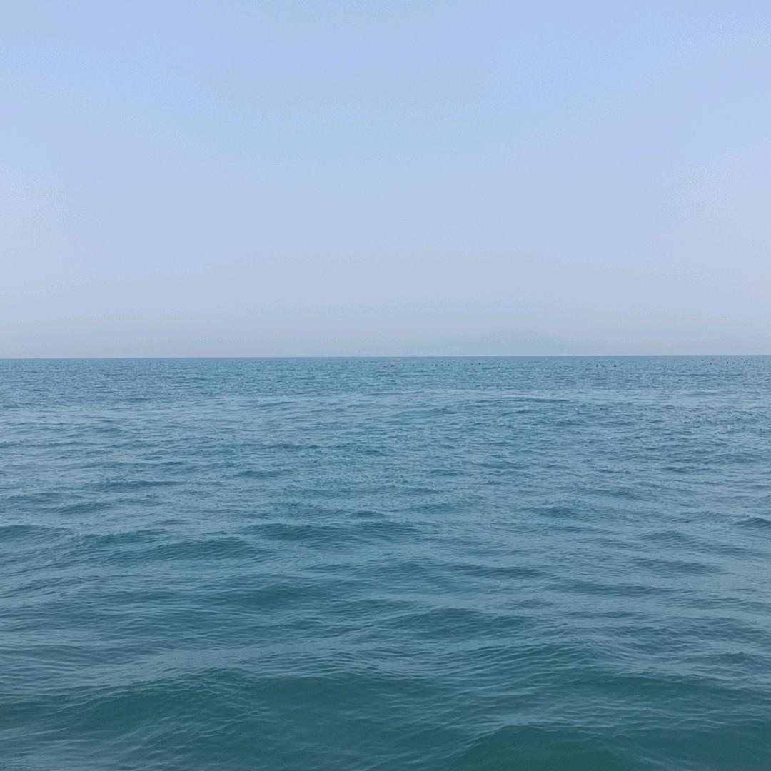 净愿