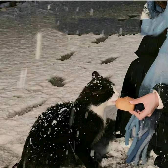 濯.