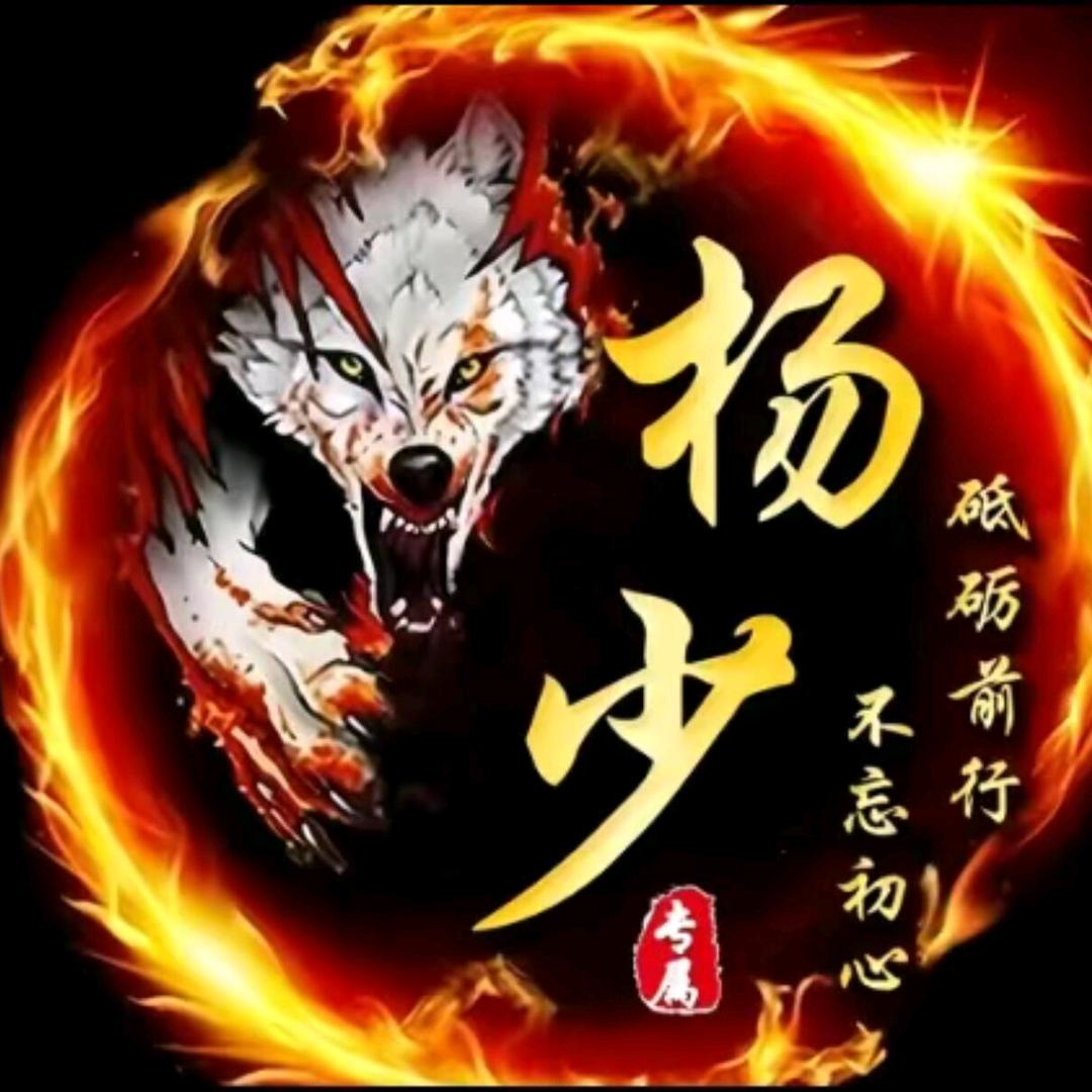 年年祈岁安