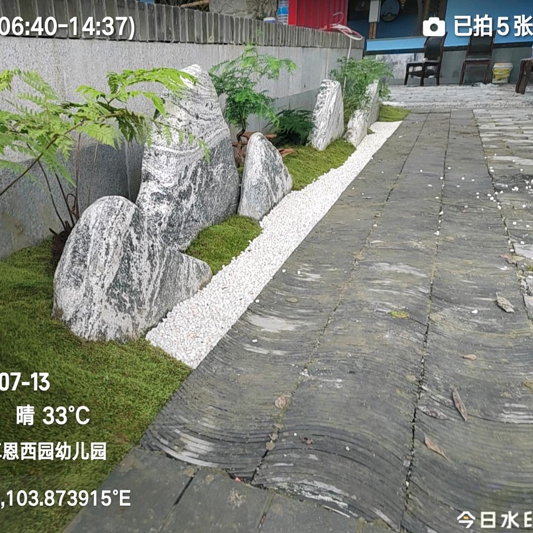 黎明   园艺绿化。  养护队🌴🌴?