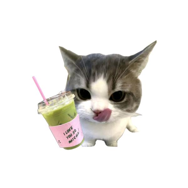 聪明蛋儿