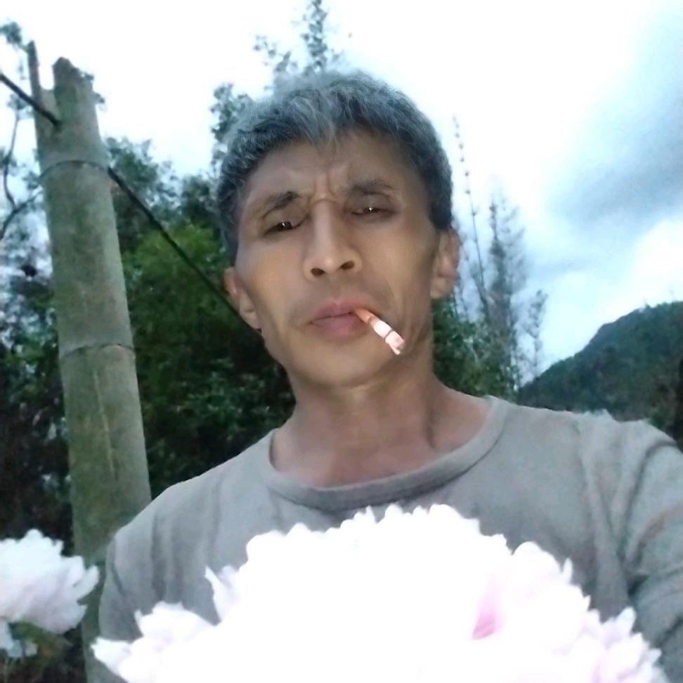 我是单身单身的可以加我