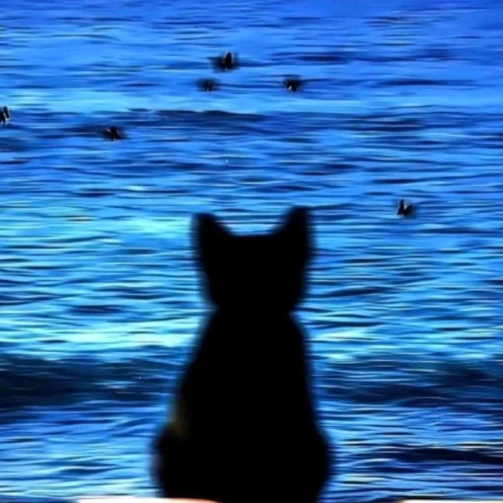 ʕ̯•͡ˑ͓•̯᷅ʔ੭