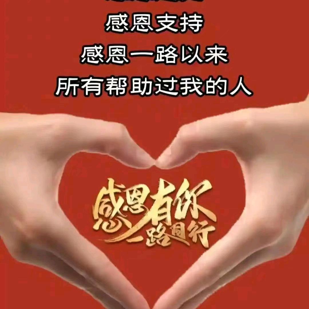 追随本心