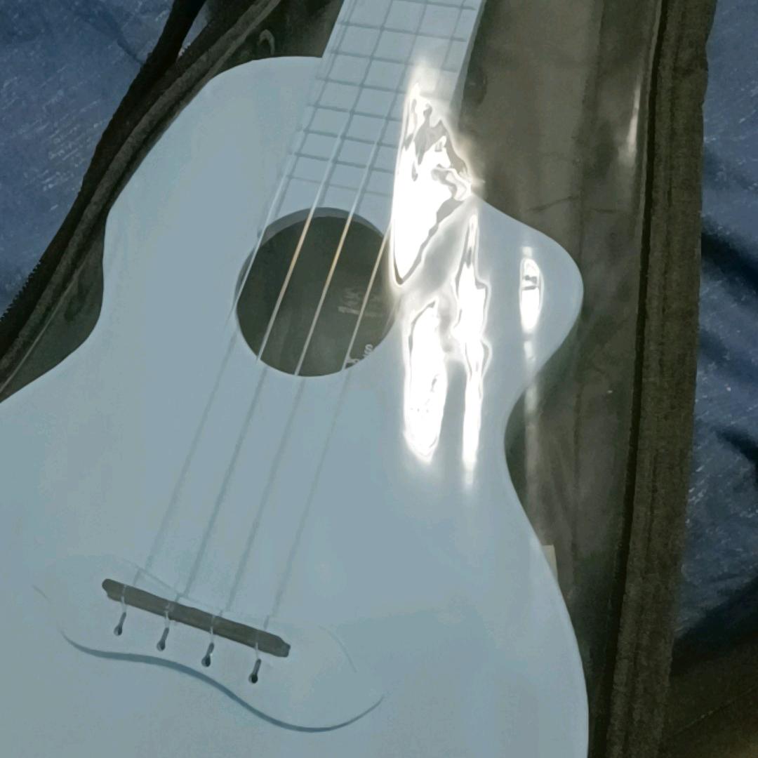 螚唯唯咸鱼之王