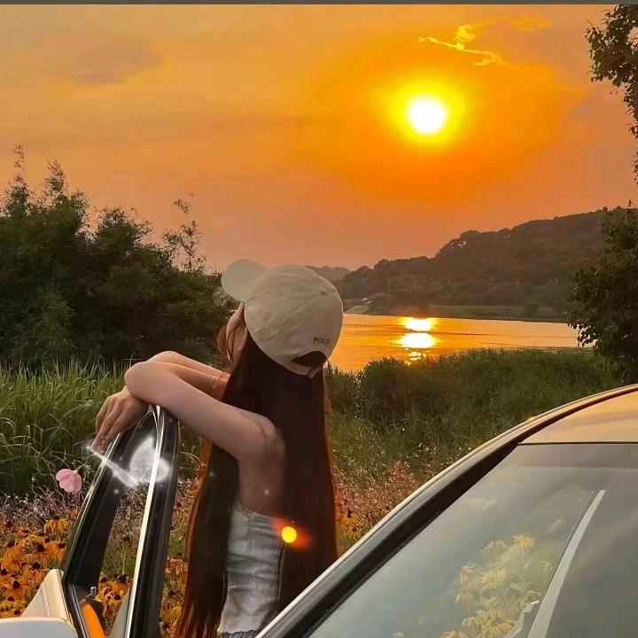 河北汀思福小兔