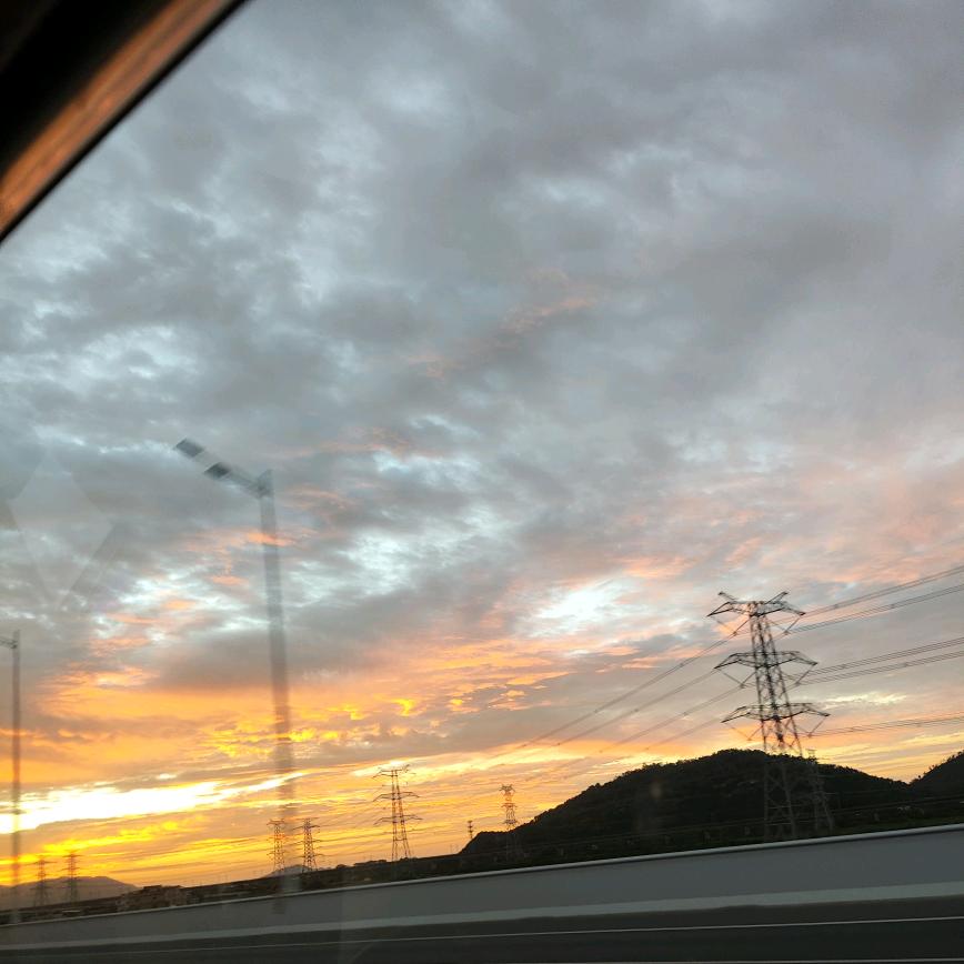小狸