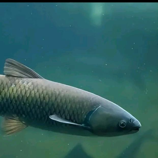 四菜一汤垂钓农庄