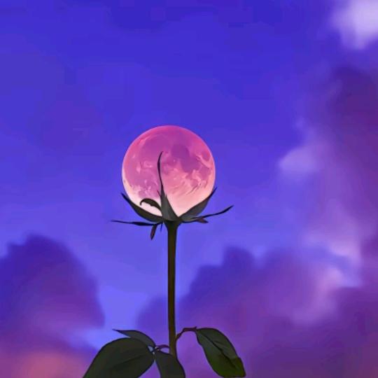 会魔法的彦