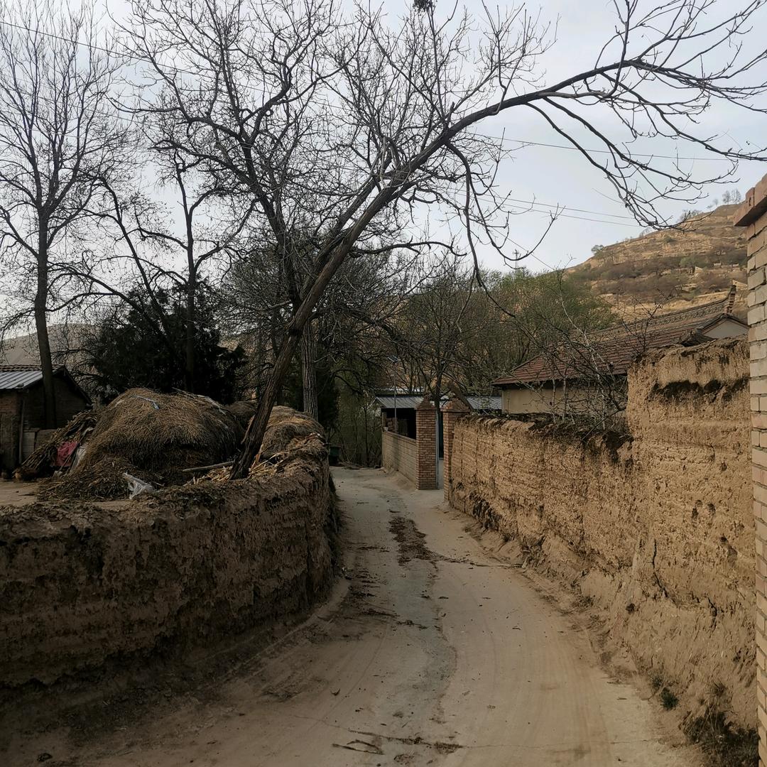 青山兄弟（装修私人订制管家）