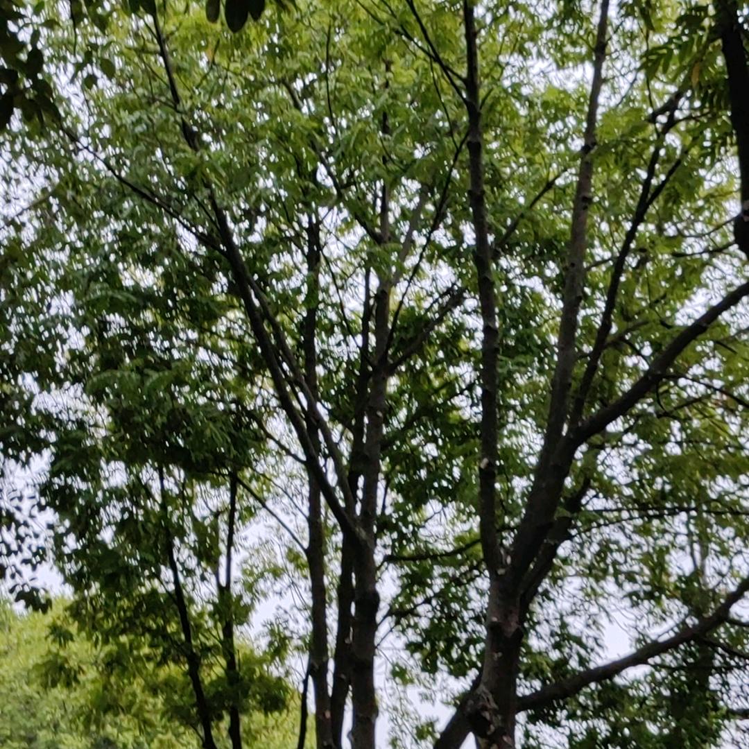 打击诈骗