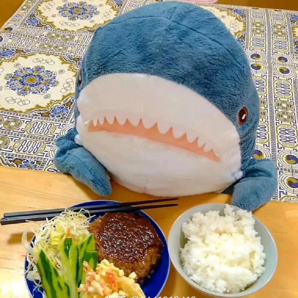干饭鲨鲨🎶