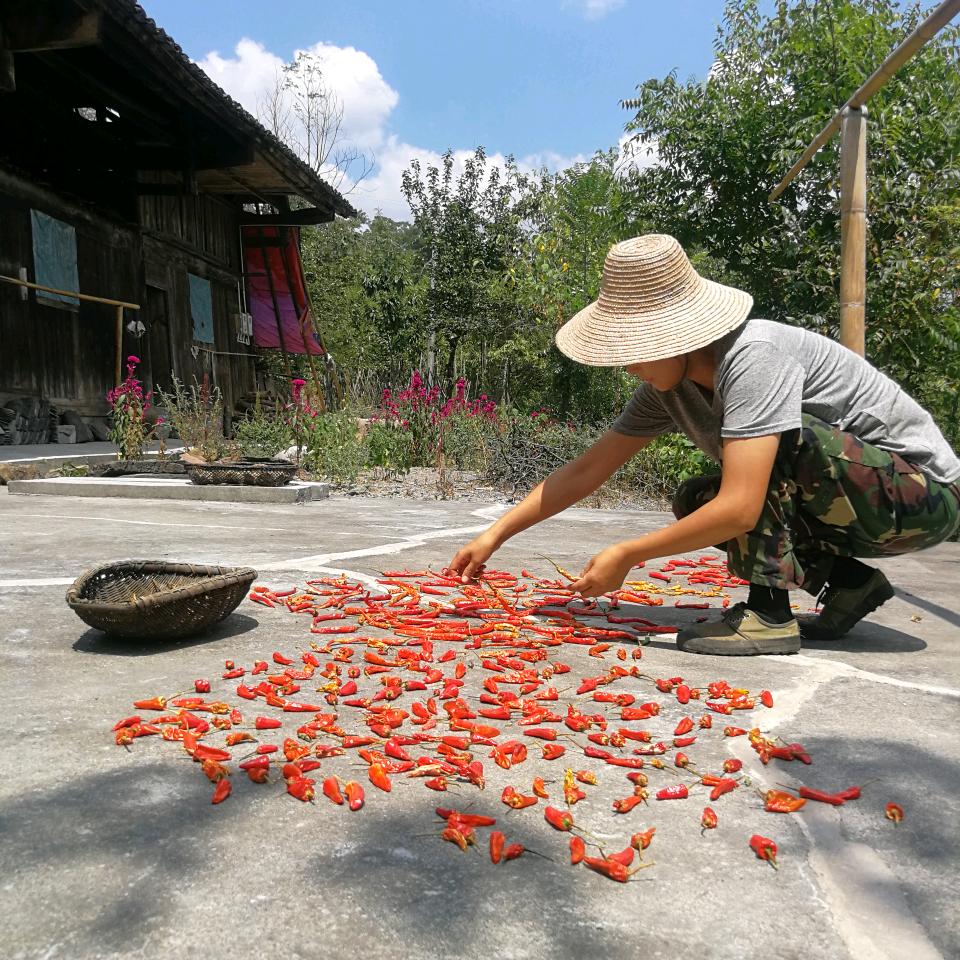 湘村小生活