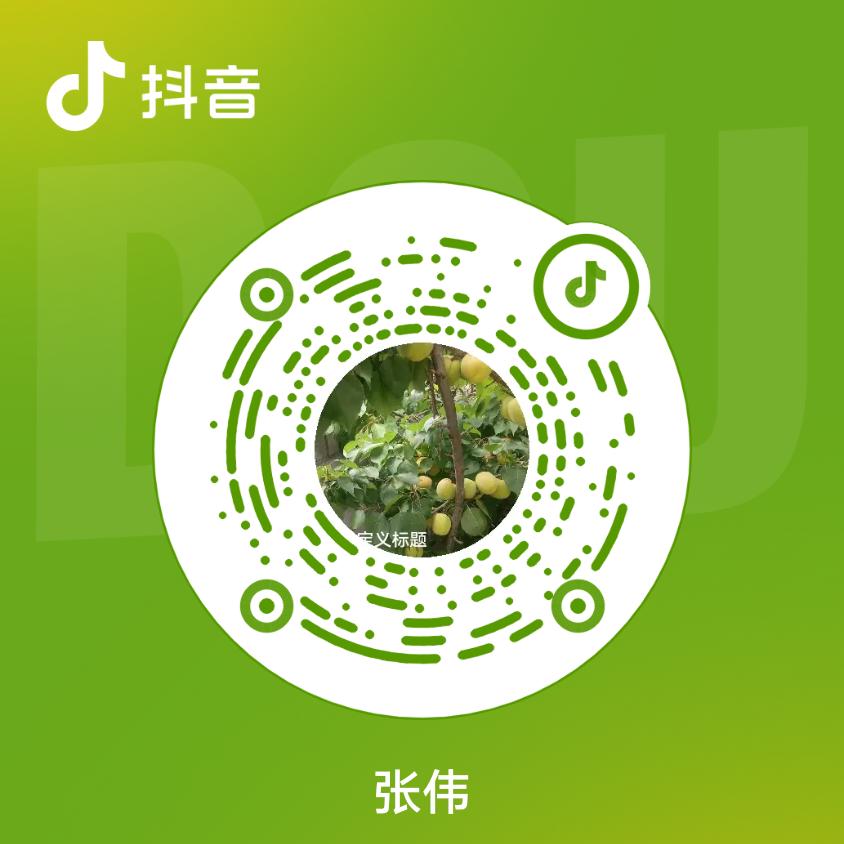 z张伟w