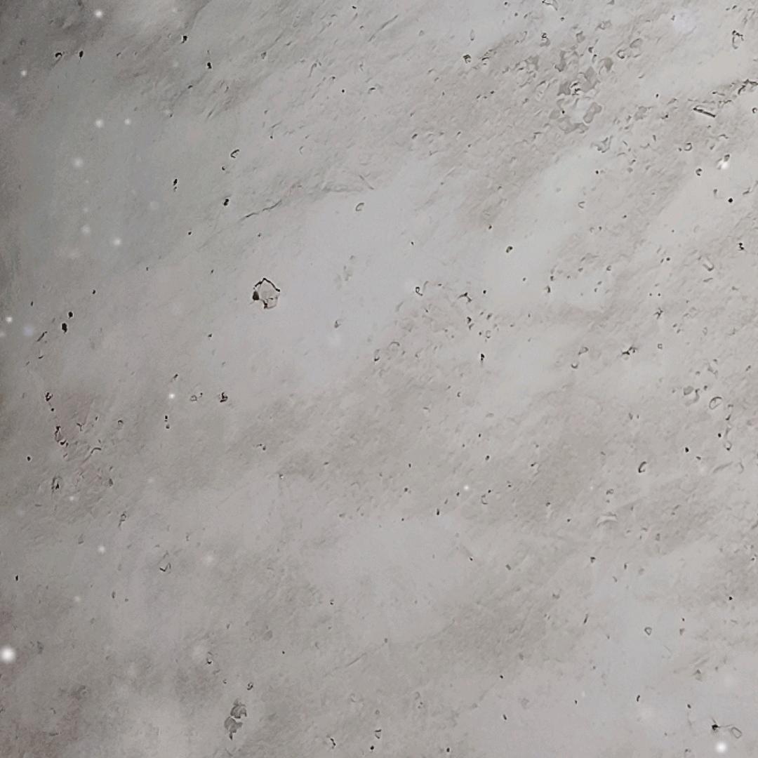 一切随缘