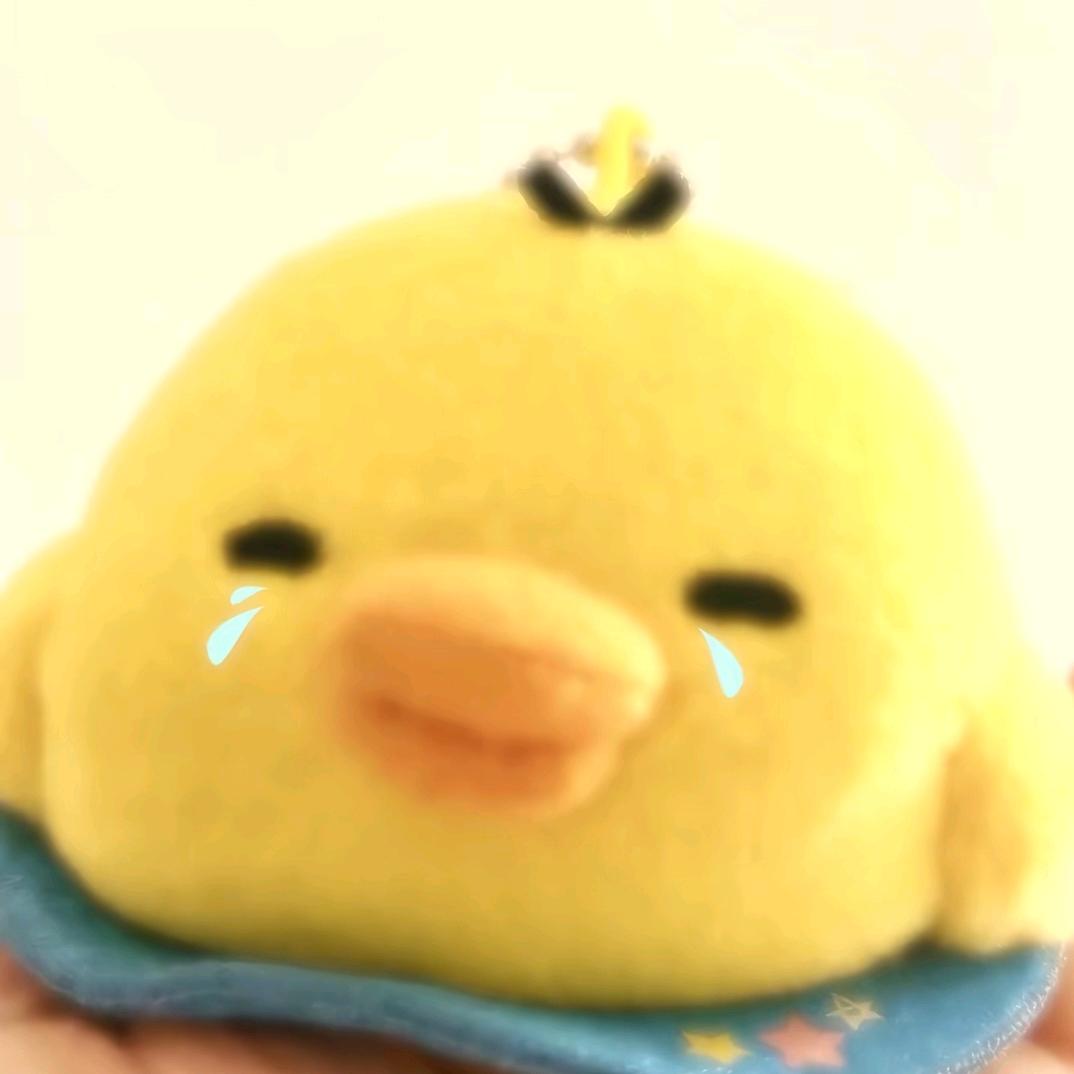 今天请正常点