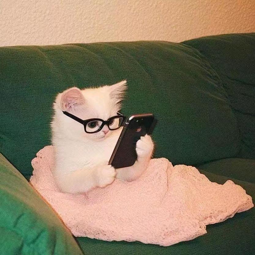 迪迪v