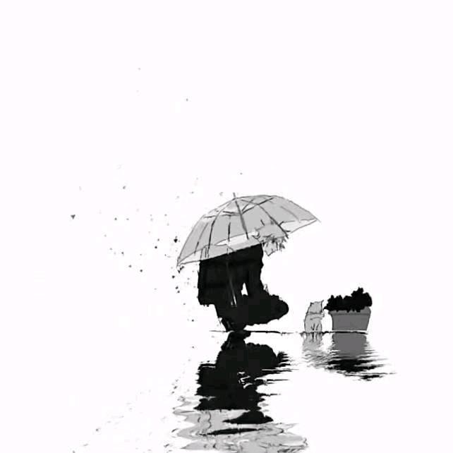 Hao颢