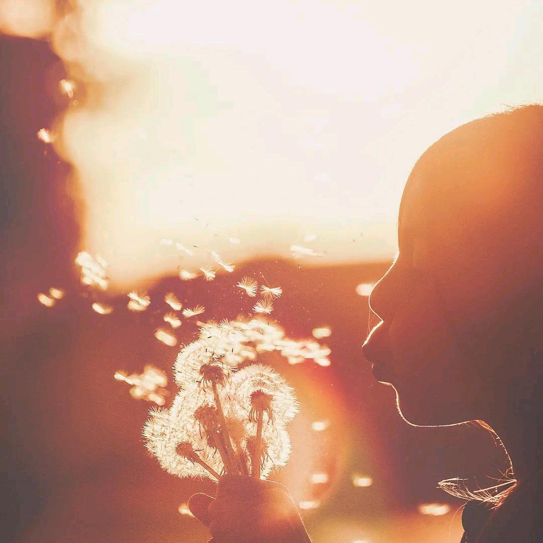 ﹏爱的最终章°