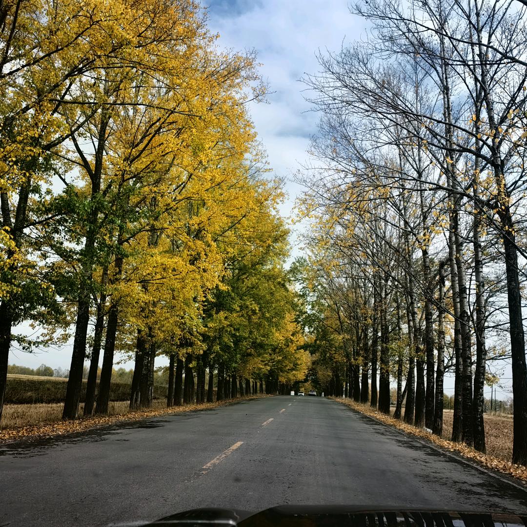 走出自己的天空