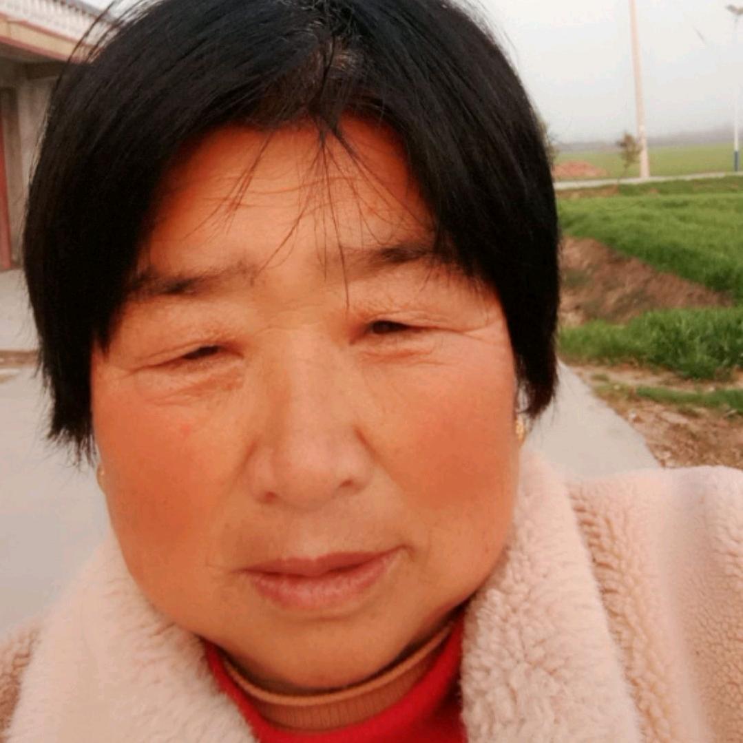 刘淑英