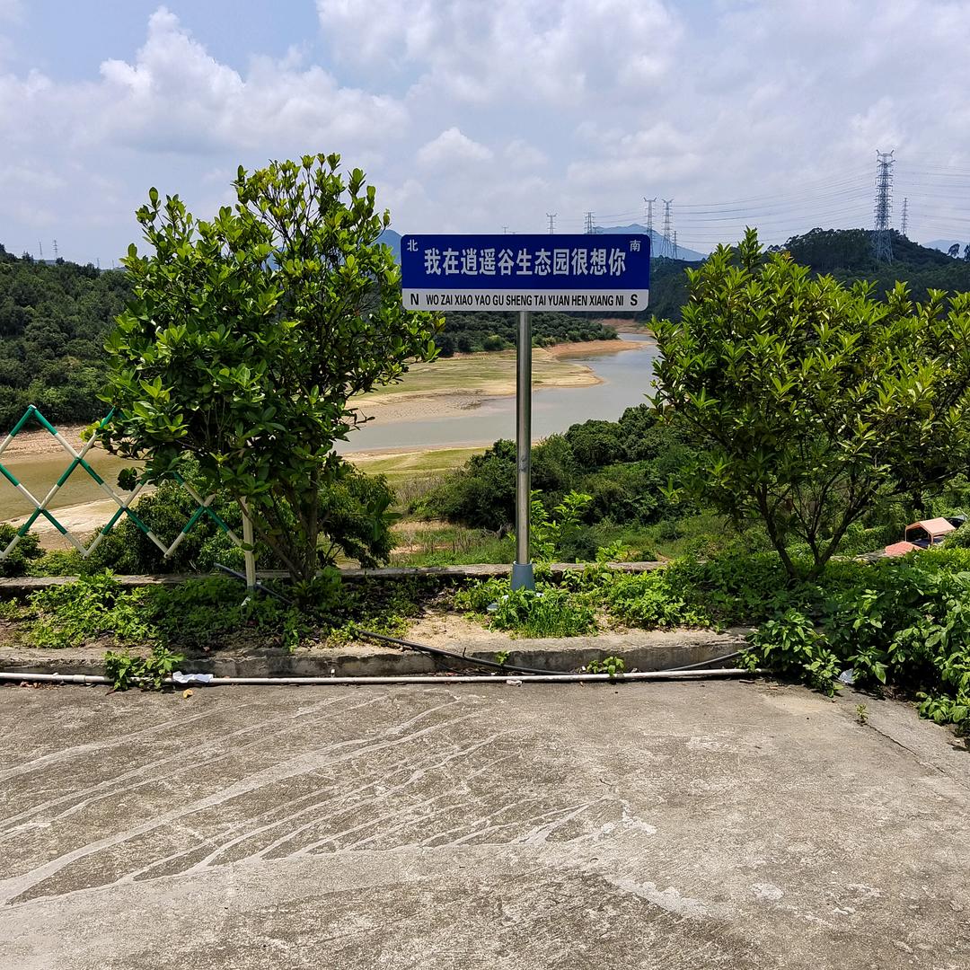 天涯独行客
