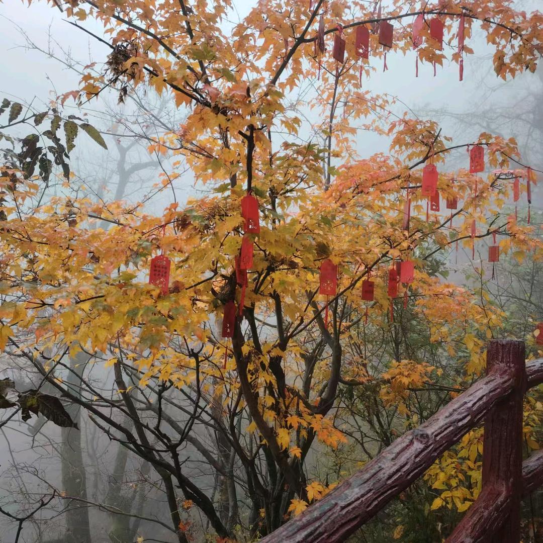 一切都是过往的