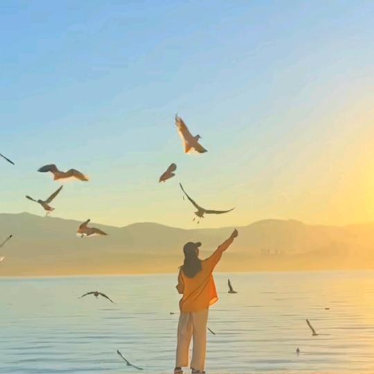 甄选自营-亲子游