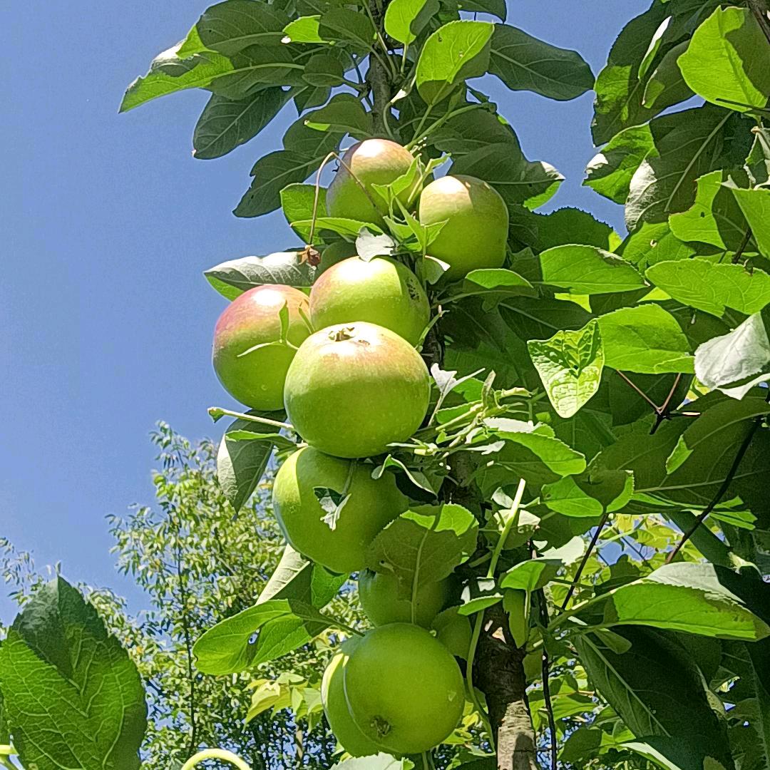 芳芳开心每＿天