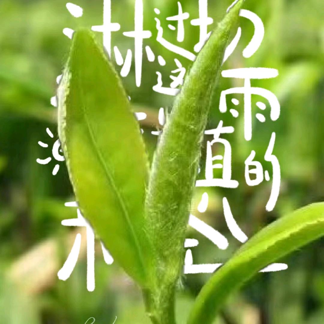 一缕银丝