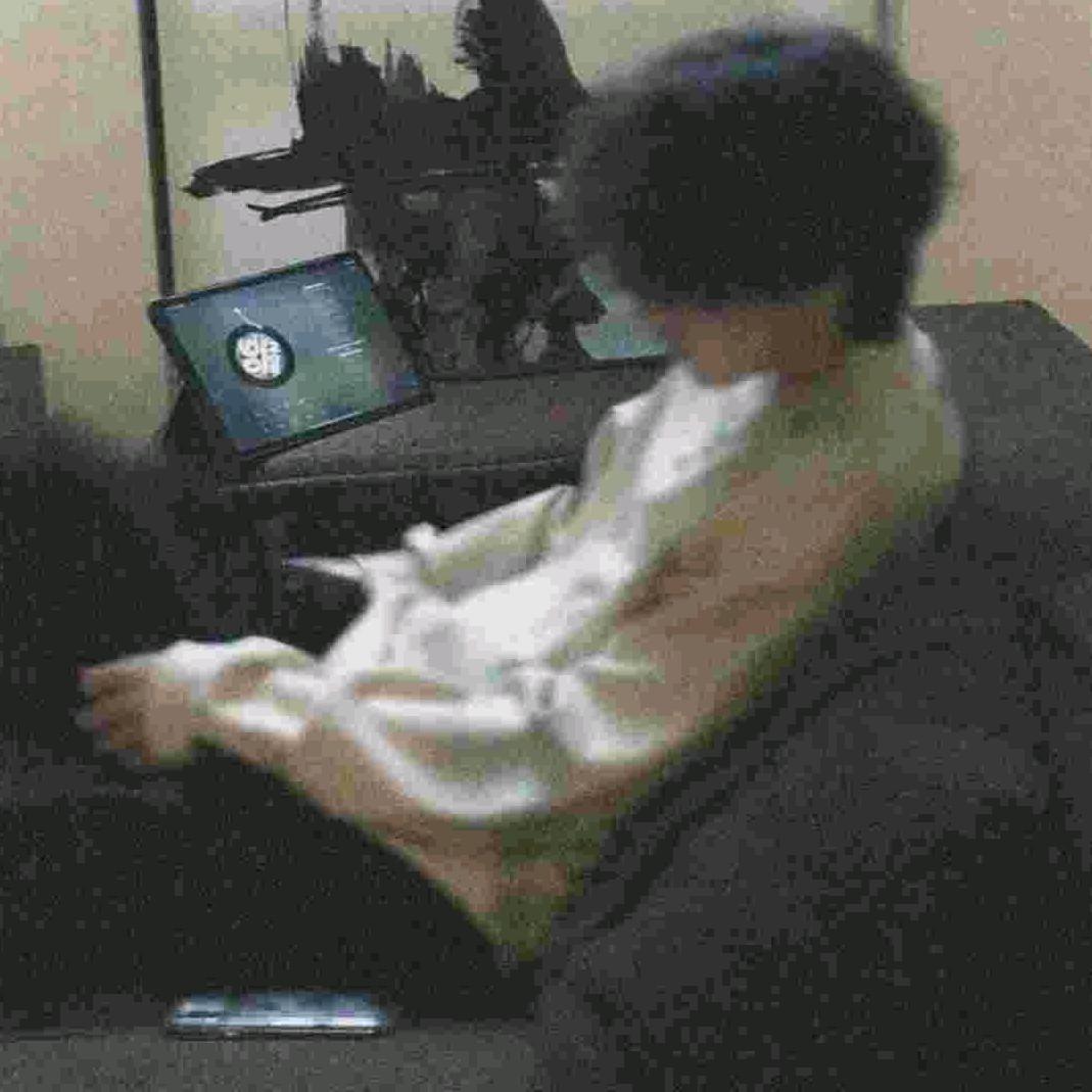 过街小熊