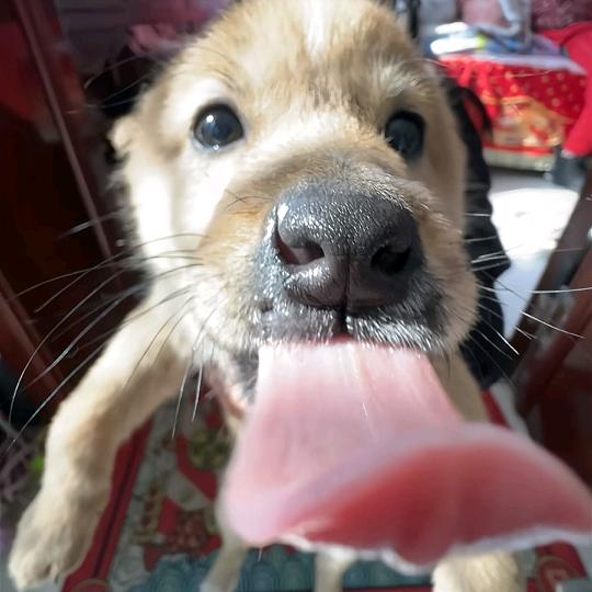 想睡觉想睡觉想睡觉