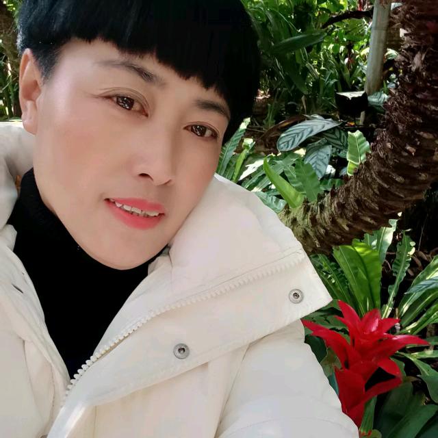 雪中兰花