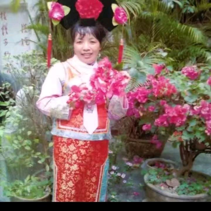 错爱《舞》