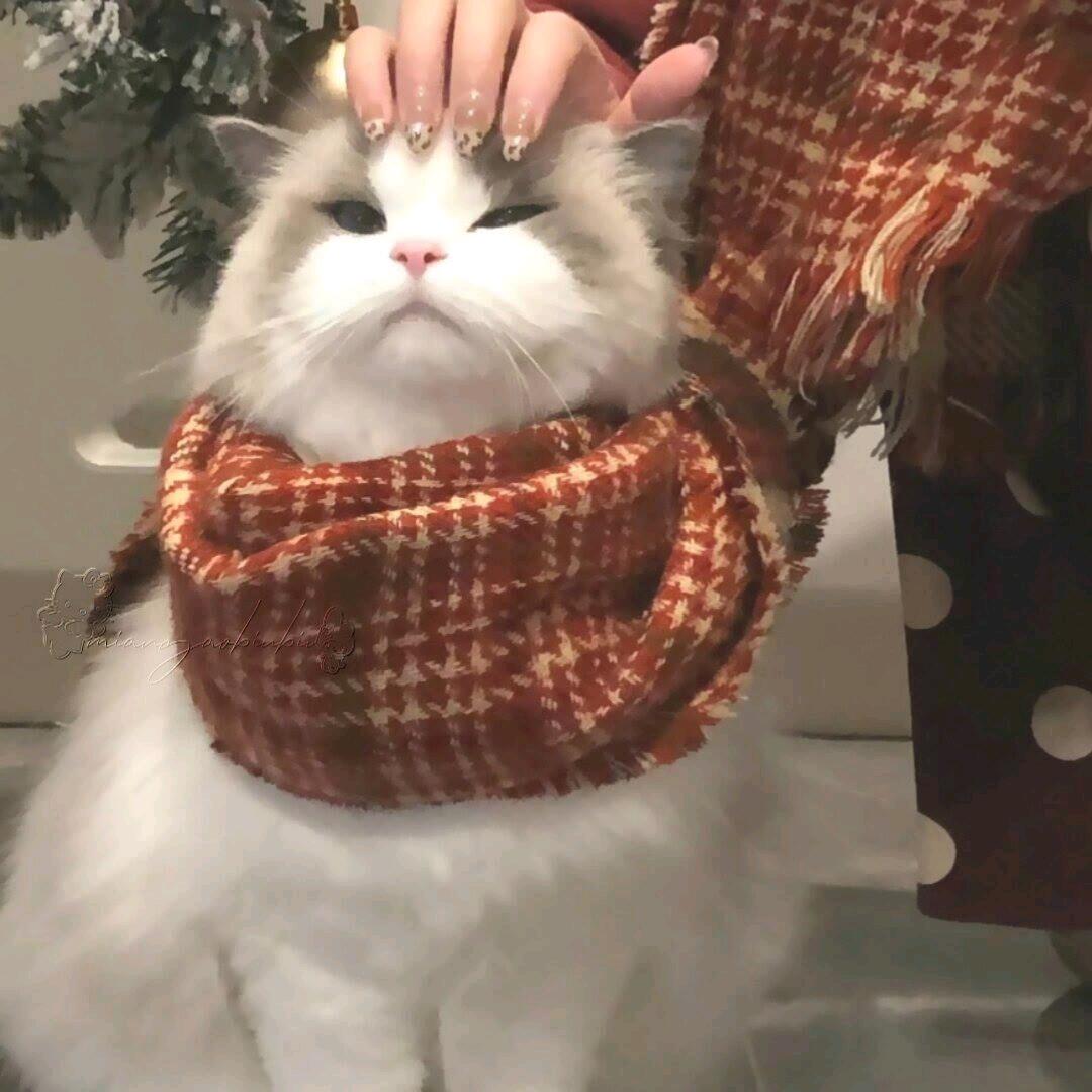 李幼安