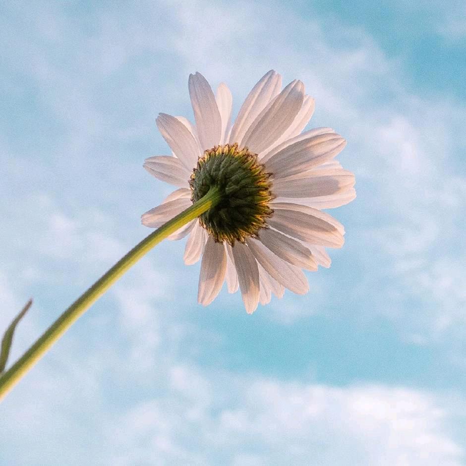 魅力天使口护店