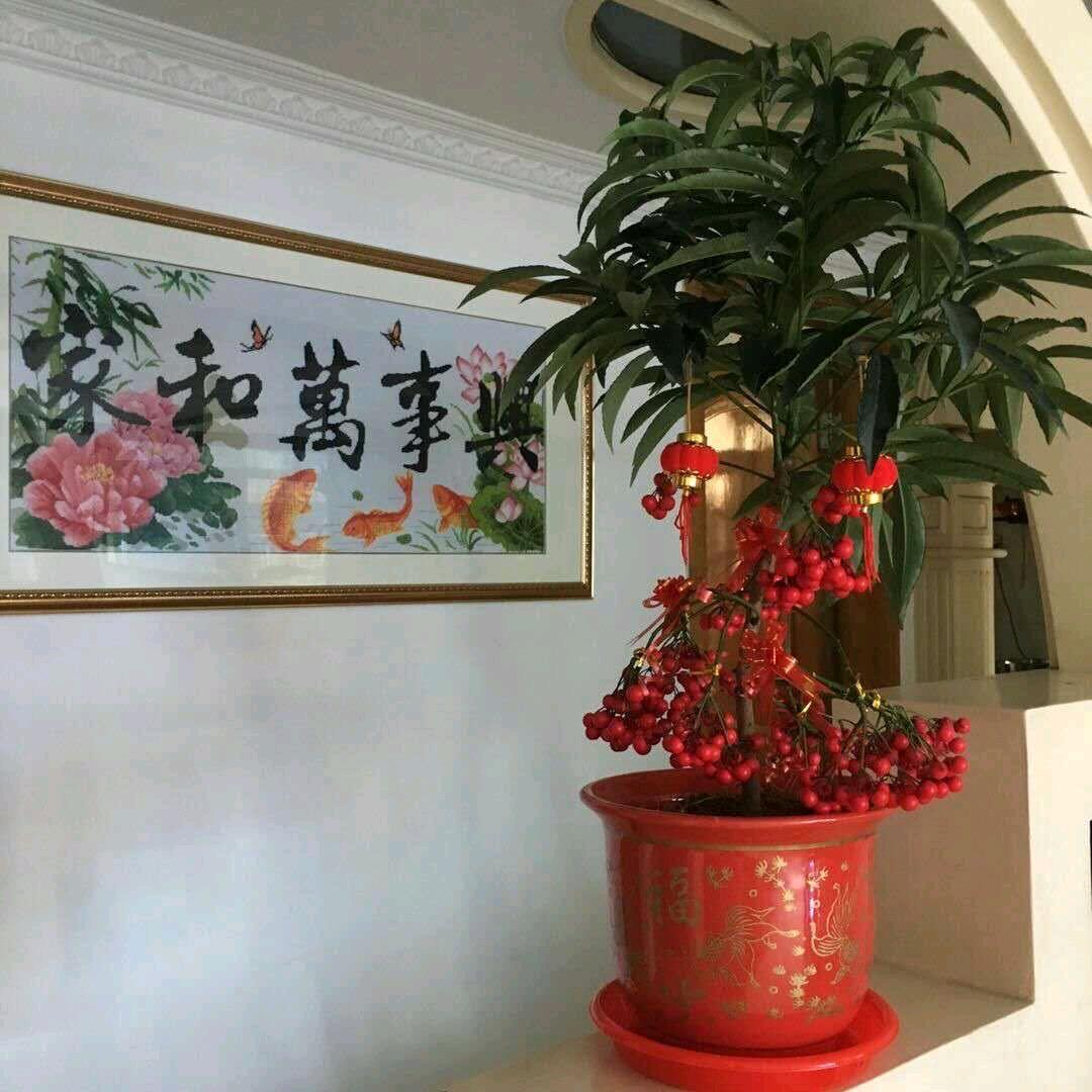 顺风顺水