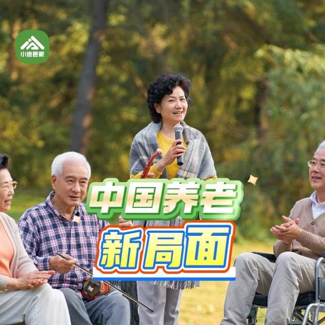 居家养老小迪说